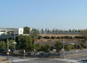 フェンスを挟んだ先の広い敷地に植樹された木々や白い建物が写っている写真