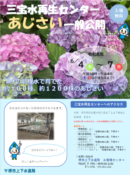 あじさい