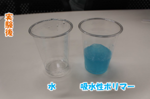 水が入っていたからのコップと、水を吸った吸水性ポリマーが入ったコップの写真